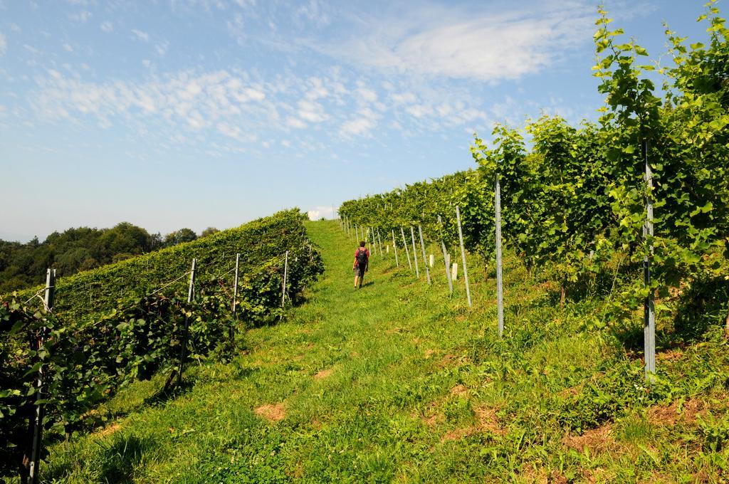 Weingut Winzerzimmer Rothschaedl Leutschach Eksteriør billede