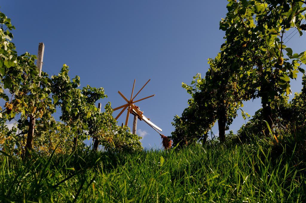 Weingut Winzerzimmer Rothschaedl Leutschach Eksteriør billede